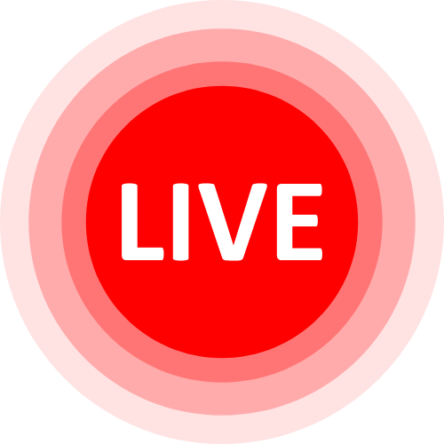 Nicollbashel Cam